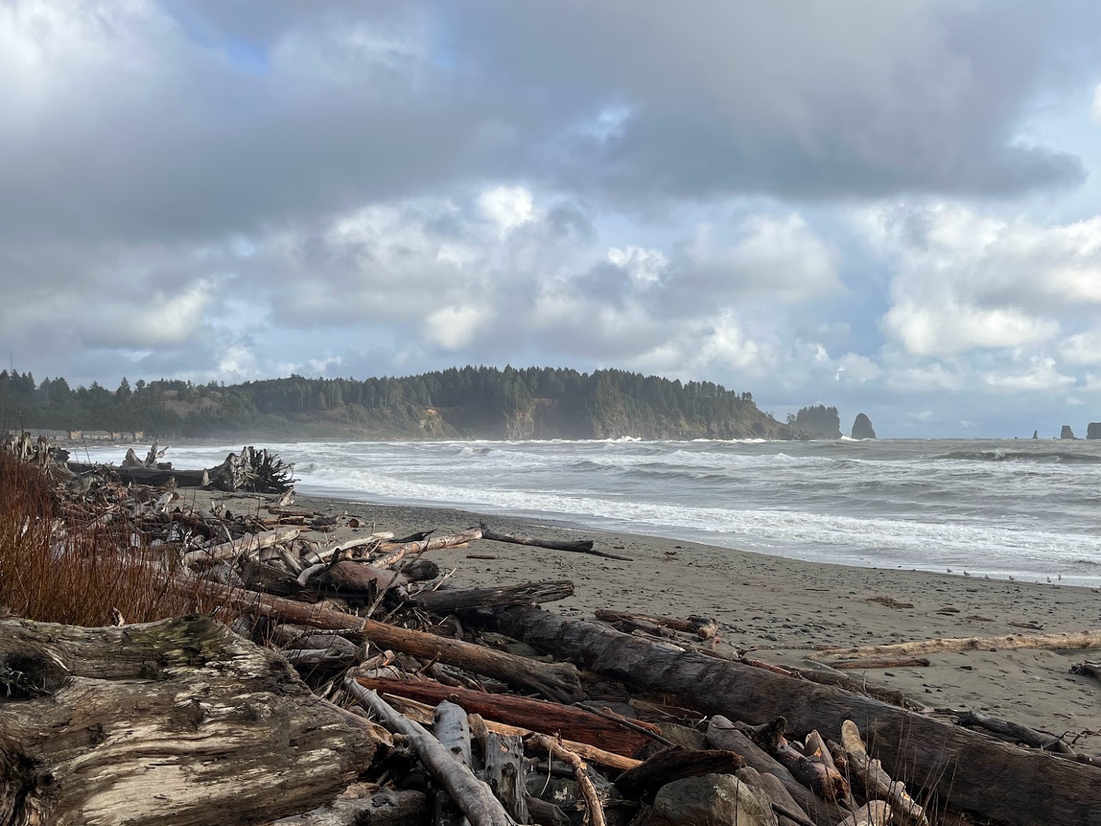 As a huge twilight fan, I of course had to do a road trip to Forks and La Push.