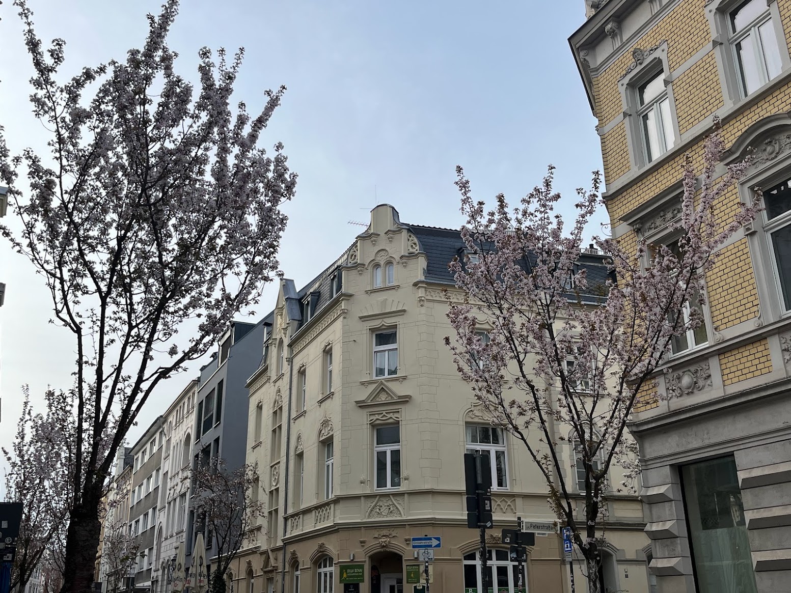 Couldn't miss the opportunity to attend a workshop in my home town, especially during the cherry blossom season. Loved reconnecting with old friends and colleagues!